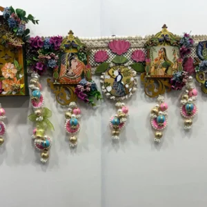 BNK1207